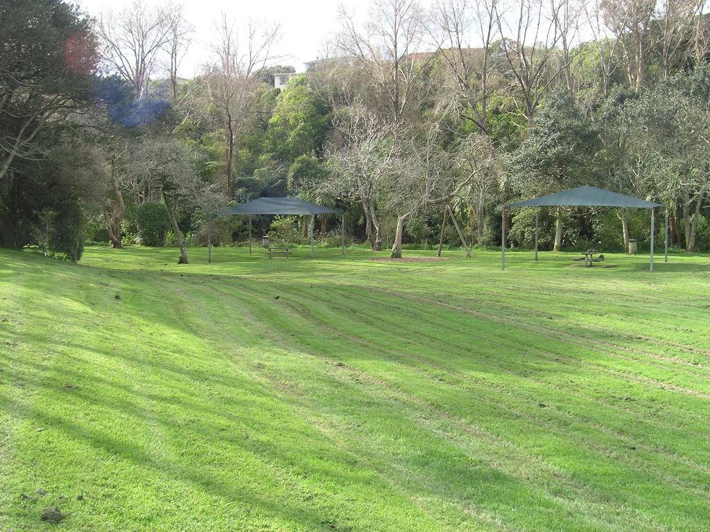 Bucket Tree Lodge Tawa 外观 照片