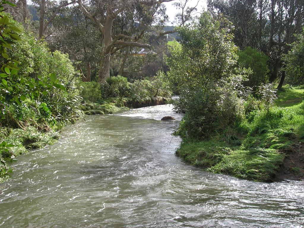 Bucket Tree Lodge Tawa 外观 照片