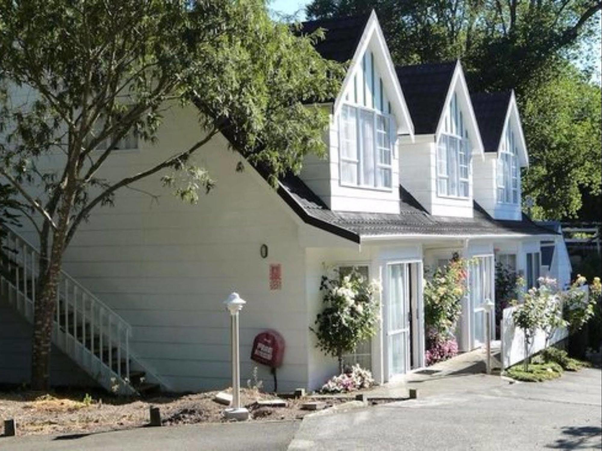 Bucket Tree Lodge Tawa 外观 照片